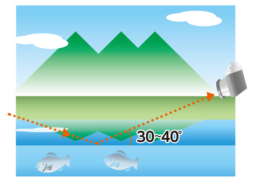 水面や植物の葉っぱの反射を取り除く方法