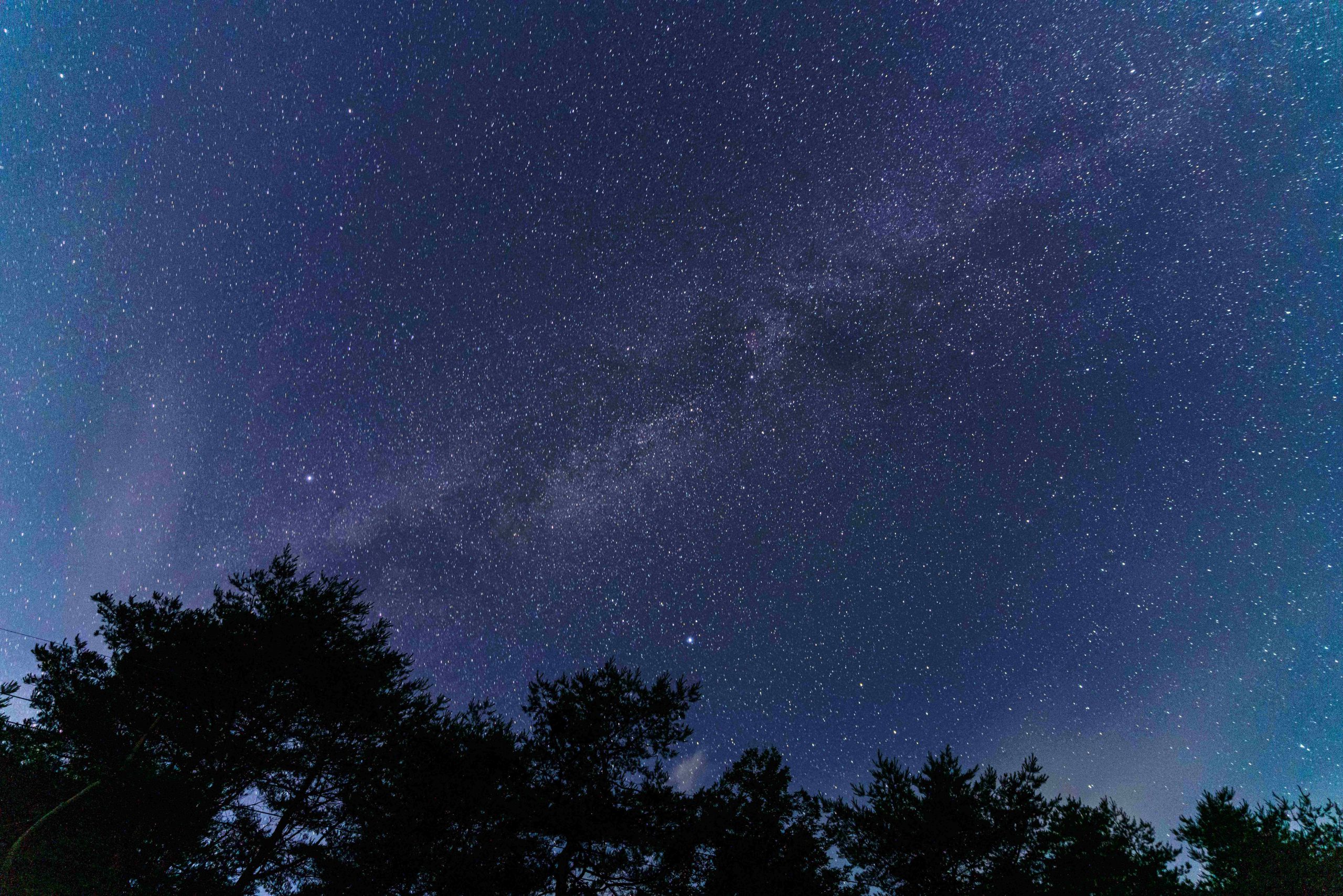 ペルセウス座流星群に挑戦