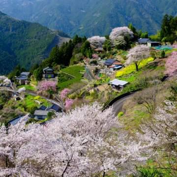 CP+ CAMERA & PHOTO IMAGING SHOW 2026 マルミ主催　出展者ブースセミナー情報