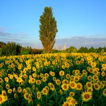 CP+ CAMERA & PHOTO IMAGING SHOW 2026 マルミ主催　出展者ブースセミナー情報