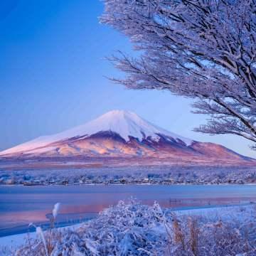 CP+ CAMERA & PHOTO IMAGING SHOW 2026 マルミ主催　出展者ブースセミナー情報